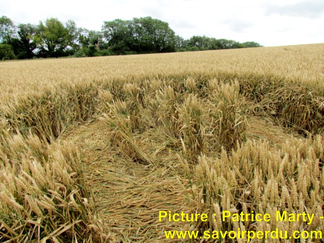 Chalk Pit, Wiltshire crop circle, aerial photo 55